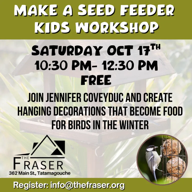 SEED FEEDER KIDS WORKSHOP SOCIAL MEDIA